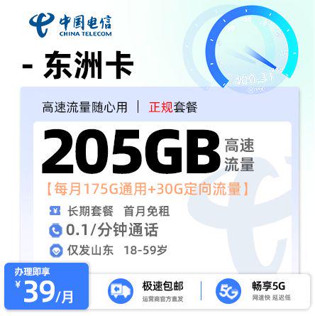 电信东洲卡【山东专属】  39元/月享125G全国通用流量+50G山东省内通用+30G定向